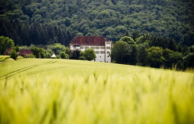 Radweg Sinsheim - Ehrstädt - Schloss Neuhaus - Ehrstädt (Radtour Sinsheim Nr. 18) | © Stadt Sinsheim