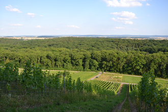 Blick vom Eichelberg | © Stadt Sinsheim