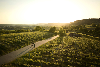 Rennrad-Achter zwischen Horn und Michaelsberg | © Tourimia Tourismus GmbH | Stefan Leitner Photography