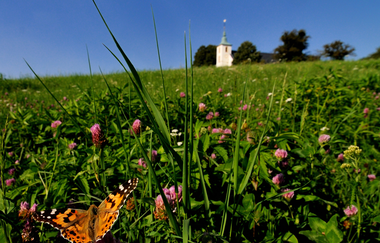 Rennrad-Achter zwischen Horn und Michaelsberg