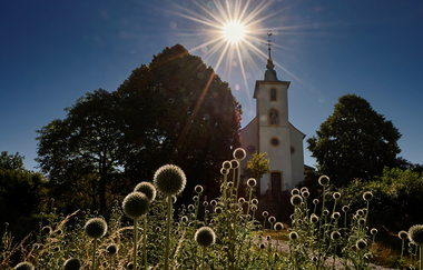Rennrad-Achter zwischen Horn und Michaelsberg | © BTMV GmbH