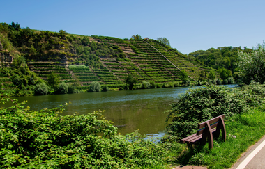 Blick auf den Neckar | © GravelDeluxe