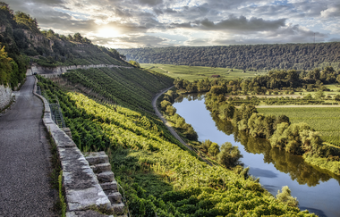 Felsengartenweg | © Felsengartenkellerei Besigheim eG