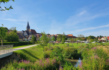 Landschaftsaufnahme vom Weiherpark Eppingen mit angrenzender Wiese und Spielplatz. Im Hintergrund die Stadtsilhoutte der Fachwerkstadt Eppingen | © Stadt Eppingen