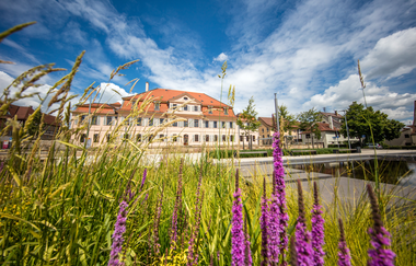 Rennrad-Tour durchs Württembergische Hügelland | © Stadt Bönnigheim