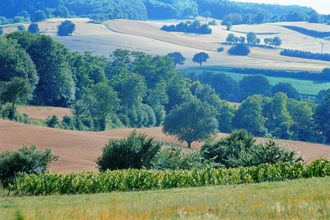Rettigheimer Weg | © Land der 1000 Hügel - Kraichgau-Stromberg