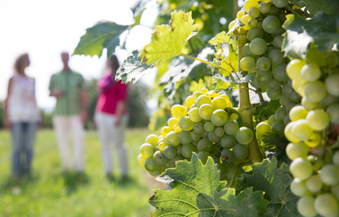 Rettigheimer Weg | © Outdooractive Redaktion