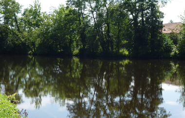 Riedberg-Rundweg | © Land der 1000 Hügel - Kraichgau-Stromberg