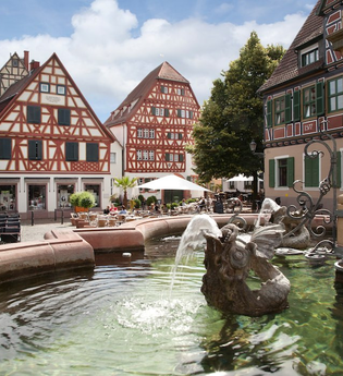 Brunnen und Fachwerkhäuser in Historische Altstadt Ladenburg | © Dorothea Burkhardt