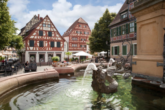 Brunnen und Fachwerkhäuser in Historische Altstadt Ladenburg | © Dorothea Burkhardt