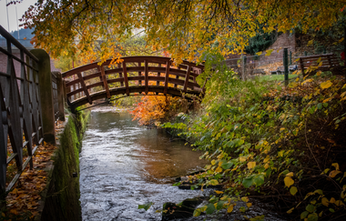 Rundtour Neckargemünd - Odenwald | © Landratsamt Rhein-Neckar-Kreis