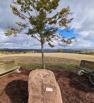Rundtour Nußloch | © Landratsamt Rhein - Neckar - Kreis