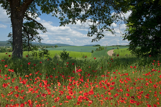 Rundtour Waibstadt | © Landratsamt Rhein-Neckar-Kreis