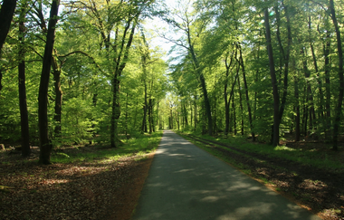 Rundtour Walldorf | © Landratsamt Rhein-Neckar-Kreis