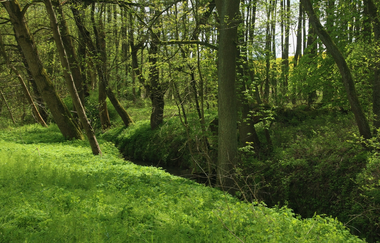 Rundtour Wiesloch | © Landratsamt Rhein-Neckar-Kreis