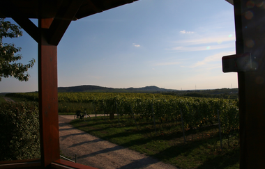 Rundtour Wiesloch | © Landratsamt Rhein-Neckar-Kreis