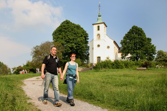 Rundwanderung entlang von Streuobstwiesen und Reben auf den Michaelsberg | © Land der 1000 Hügel - Kraichgau-Stromberg