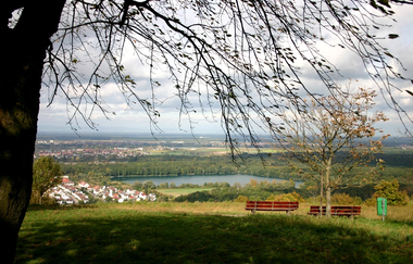 Rundwanderung entlang von Streuobstwiesen und Reben auf den Michaelsberg | © Land der 1000 Hügel - Kraichgau-Stromberg