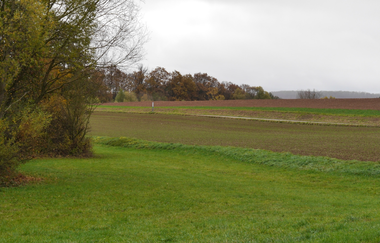 Rundwanderweg in Diefenbach - Kulturlandschaft im Wandel