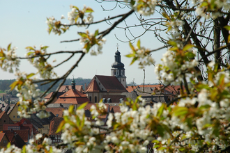 Rundwanderweg Kraichtal-Gochsheim | © Stadtmarketing Kraichtal