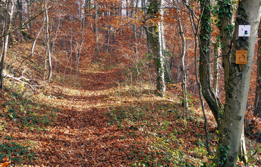 Sandbauern-Weg - Kulturhistorische Wanderung | © Land der 1000 Hügel - Kraichgau-Stromberg