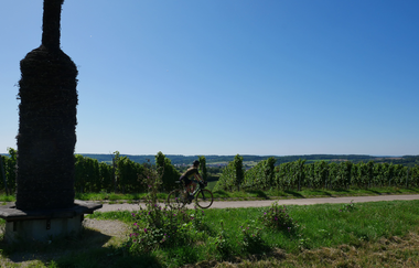 Fahrradweg durch die Weinberge | © Kraichgau-Stromberg Tourismus e.V.