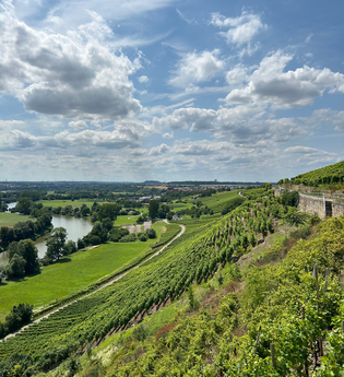 Schlossbergrunde Kleiningersheim