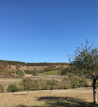 SD1 - Herrliches Sternenfels und Diefenbach