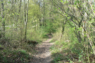 SD2 - Sternenfelser Waldrundweg