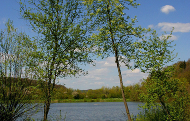 Seenweg – Von See zu See | © Touristikgemeinschaft HeilbronnerLand e.V.