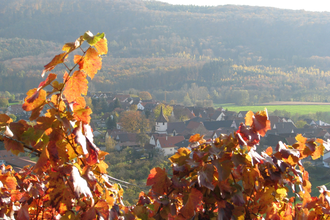 SH1 - Rundwanderweg Historisches Kirbachtal | © Stadt Sachsenheim