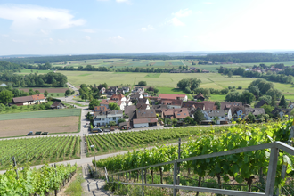 SH2 - Hohenhaslacher Genuss-Weg | © Stadt Sachsenheim