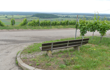 SH2 - Hohenhaslacher Genuss-Weg | © Stadt Sachsenheim
