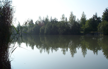 SH5 - Häfnerhaslacher Wald- und Seeweg (große Runde) | © Stadt Sachsenheim