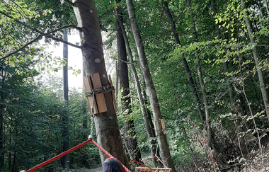 Sinnenpfad Neckargemünd | © Tourist-Informatin Neckargemünd