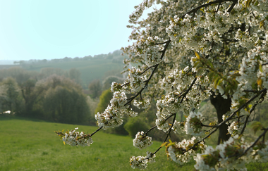Stadtbahnwanderweg Kraichtal-Menzingen - Östringen-Odenheim