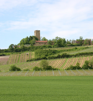 SU1 - Ravensburg-Tour | © Gemeinde Sulzfeld