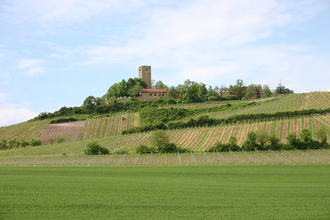 SU1 - Ravensburg-Tour | © Gemeinde Sulzfeld