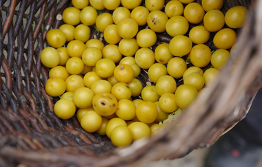 SU2 - Wandern zwischen Wein, Wald und Streuobstwiesen | © Kraichgau-Stromberg Tourismus e.V.