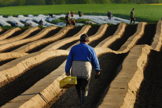 Tour de Spargel | © BTMV Bruchsal