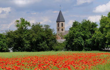Tour de Spargel | © Land der 1000 Hügel - Kraichgau-Stromberg