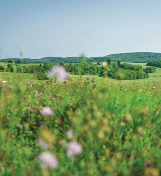 TTG - San Flamingo Tour - alle Felder | © TMBW