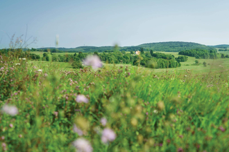 TTG - San Flamingo Tour - alle Felder | © TMBW