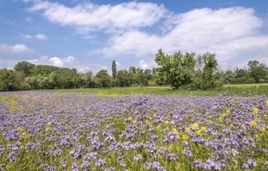 TTG - San Flamingo Tour - alle Felder | © TMBW