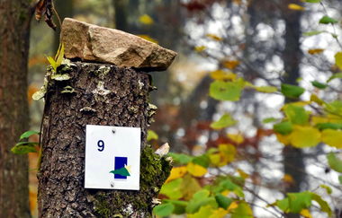 Über die Kanzelbuche von Diefenbach nach Sternenfels | © Land der 1000 Hügel - Kraichgau-Stromberg