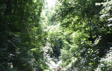 UW1 - Hohlen- und Höhenrundweg | © Land der 1000 Hügel - Kraichgau-Stromberg