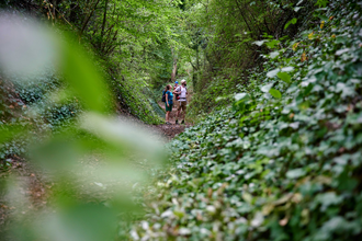 Wandern in Ubstadt-Weiher | © Kraichgau-Stromberg Tourismus e.V.