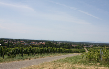 UW2 - Auf den Spuren der Römer | © Land der 1000 Hügel - Kraichgau-Stromberg