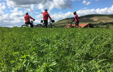 VAI-Tour-Nord | © Land der 1000 Hügel - Kraichgau-Stromberg