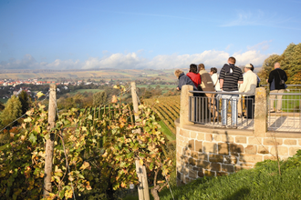 Von Kürnbach zum Derdinger Horn Oberderdingen #Schwarzrieslingdorf | © Kraichgau-Stromberg Tourismus e.V.